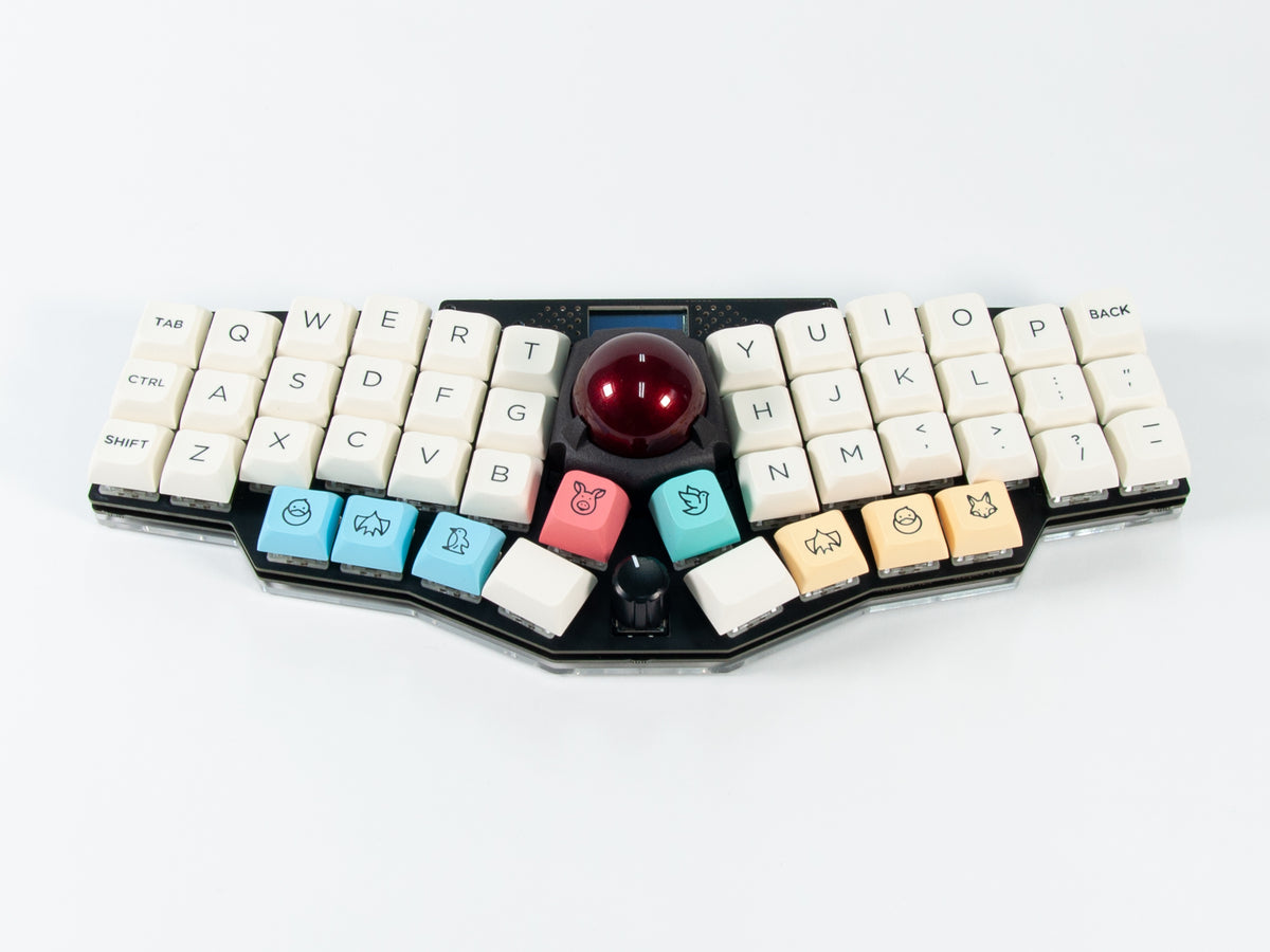 20230311-794_1200x.jpg?v=