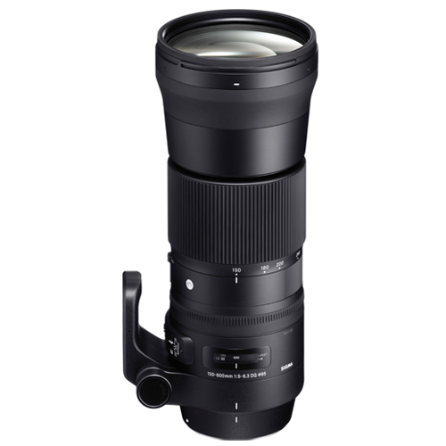 シグマ 150-600mm F5-6.3 DG OS HSM Contemporary キヤノンEF用 | 交換