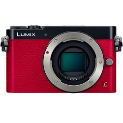 パナソニック LUMIX DMC-GM5-G ボディ グリーン | ミラーレス一眼