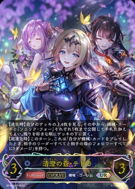 WS フェアリーテイル デッキ 旧弾のみ レアスリーブ付き WS フェアリー