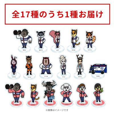 社長になった若大将／DVD-BOX（4枚組） | TBSショッピング