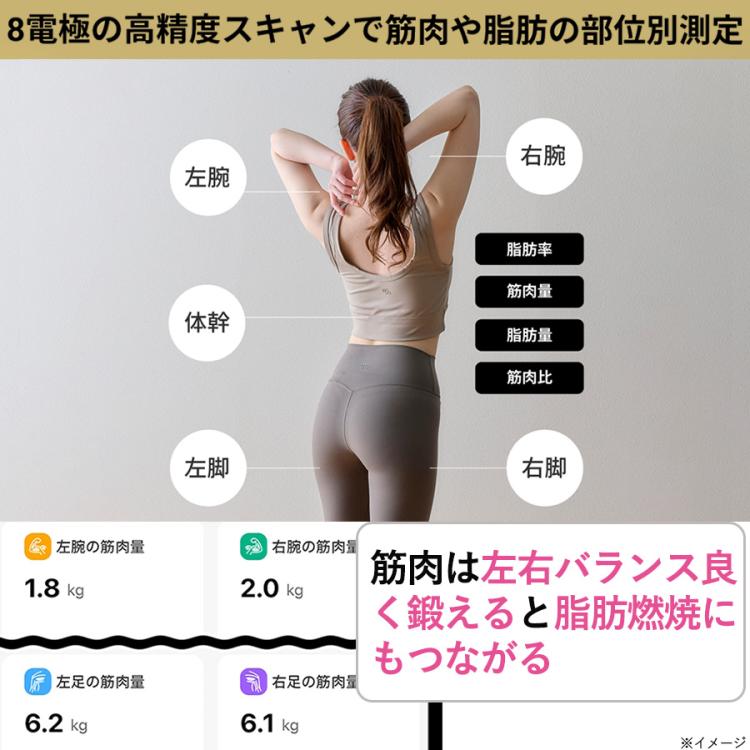 Medifeel(メディフィール) 全身スキャン体組成計／体重計／体脂肪率