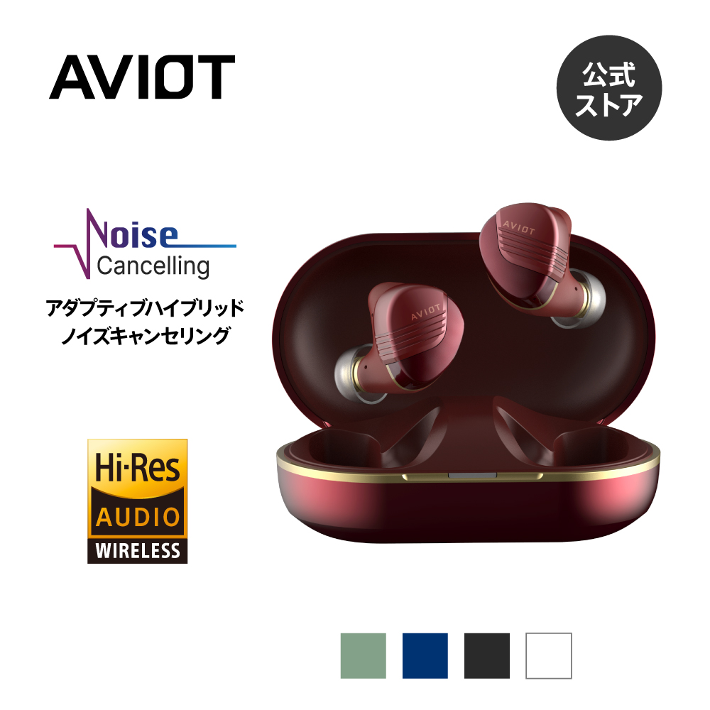 AVIOT AVIOT TE-W1 アダプティブハイブリッドノイズキャンセリング