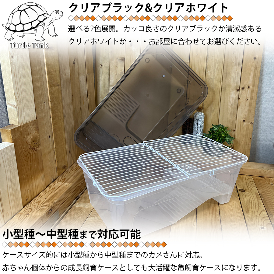 亀飼育ケース (中) タートルタブ 排水口付き タートルタンク 蓋付き 亀