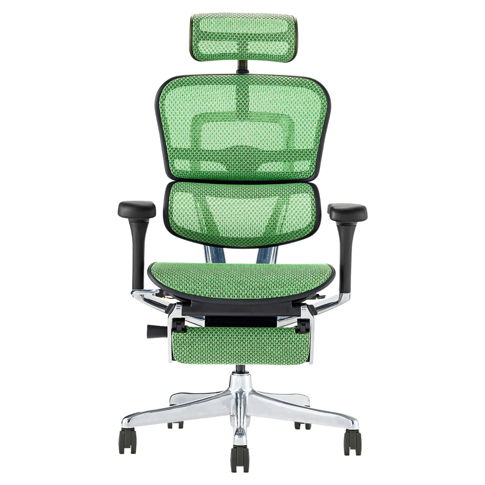 エルゴヒューマン（Ergohuman） メーカー組立済完成品 プロ2