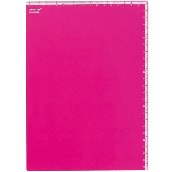 クツワ（KUTSUWA） メモリ付き下敷 下じき(B5) ピンク/ST106PK ミント