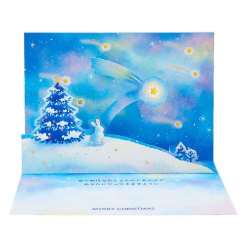 グリーティングカード CHRISTMAS クリスマスカード jx14-3 流れ星を