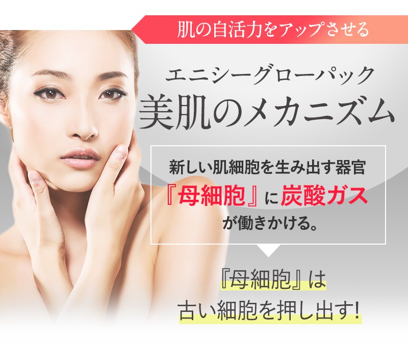 エニシー グローパック 10回分 【リニューアル前商品】 正規品 送料