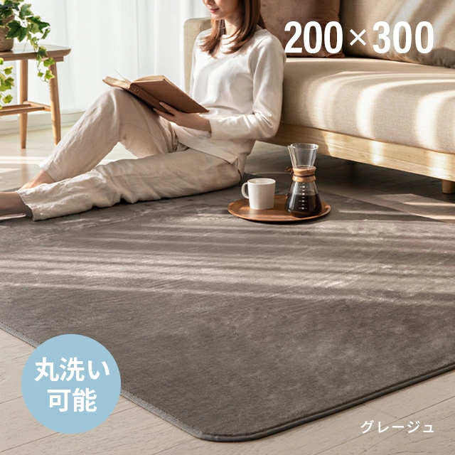 MODERN DECO（モダンデコ） ラグ カーペット 洗える 200×300