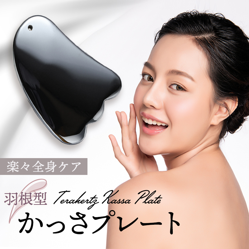 Centellian 24 カッサ美顔器 ポーチ付き Centellian 24 カッサ美顔器