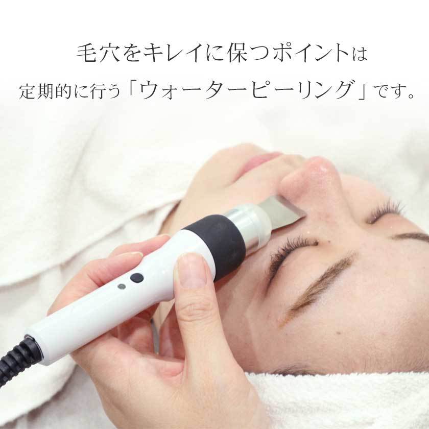 タカラベルモント 日本製 エステ業務用 スクライバー Exfoliater