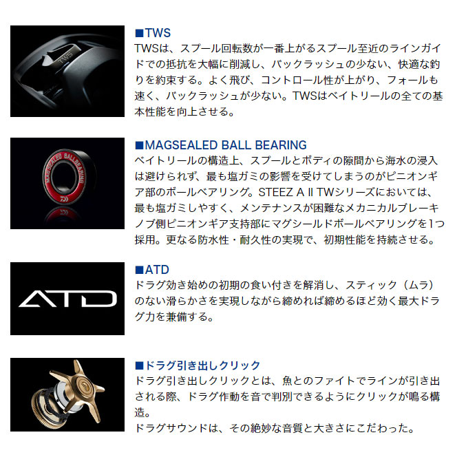 DAIWA（ダイワ） STEEZ (スティーズ) A II TW 1000 (右ハンドル) 2023