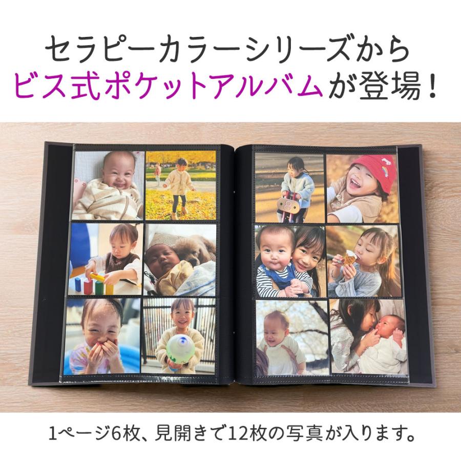 ナカバヤシ 【WEB限定品】ナカバヤシ セラピーカラー ビス式 ポケット