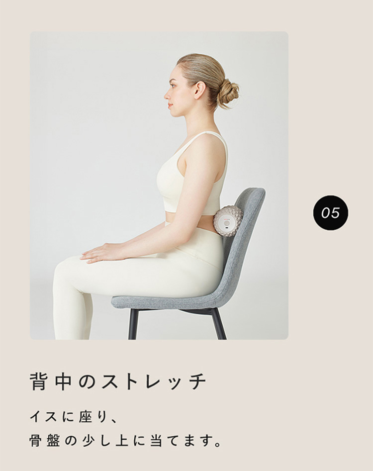 シックスパッド パワーローラー ツインズ SIXPAD Power Roller Twins