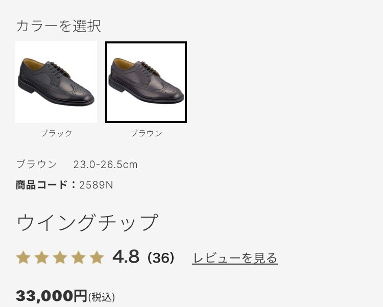 REGAL（リーガル） 靴 メンズ ビジネスシューズ 2589N 本革 ウイング