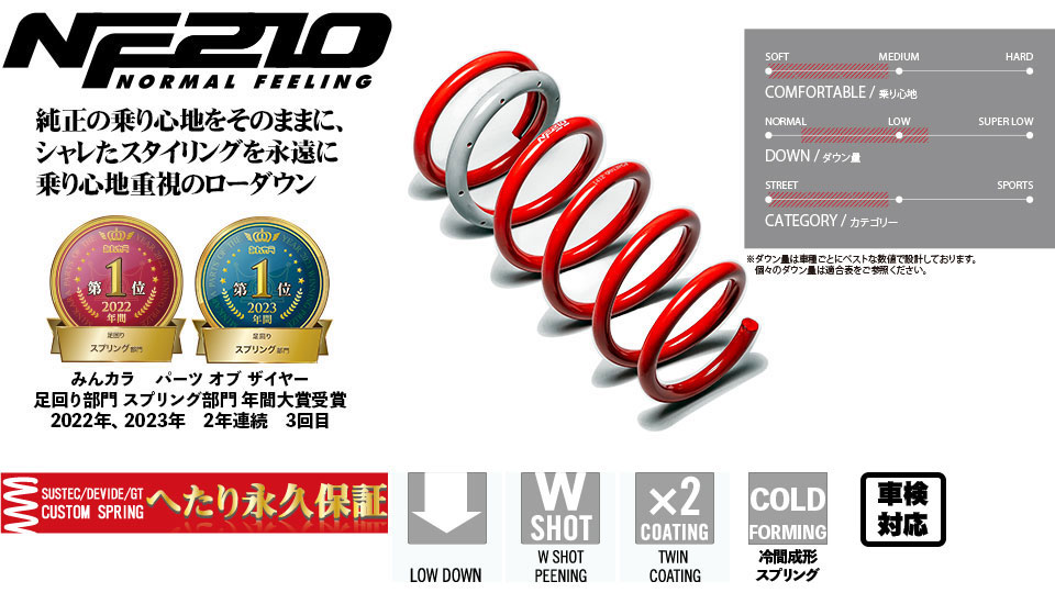 TANABE（タナベ） サステック NF210 ダウンサス 1台分 N-BOXカスタム