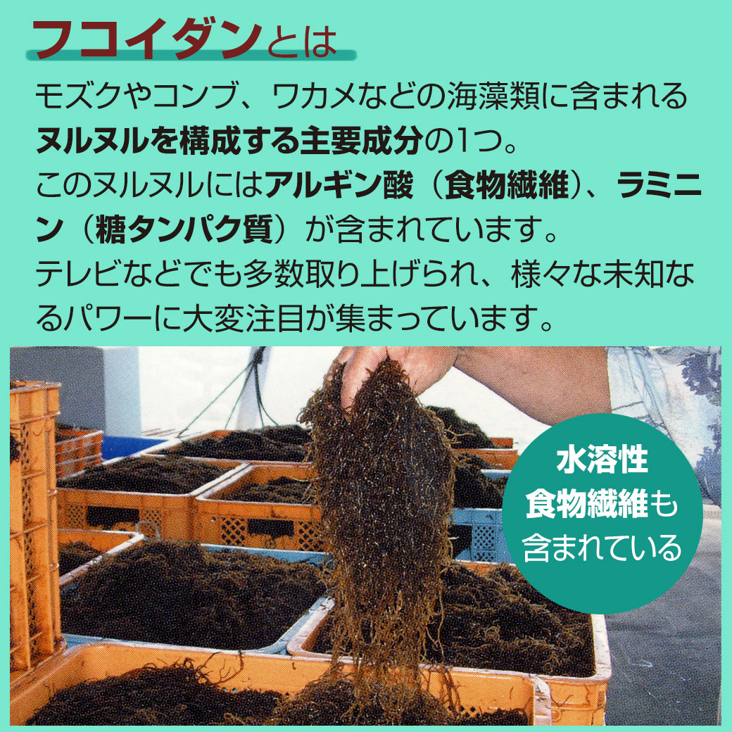 金秀バイオ 沖縄フコイダン（180粒入）4個セット レビュー記入で