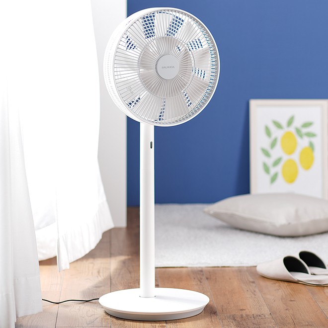 BALMUDA（バルミューダ） 扇風機 豪華特典付き BALMUDA The GreenFan