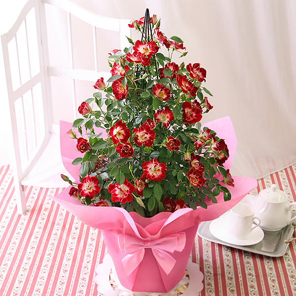 BunBunBee 早割実施中！ 母の日 2026 ギフト バラ 花 プレゼント