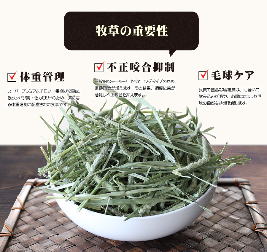 牧草市場 カナダ産 プレミアム チモシー 1番刈り 1kg (500g×2パック