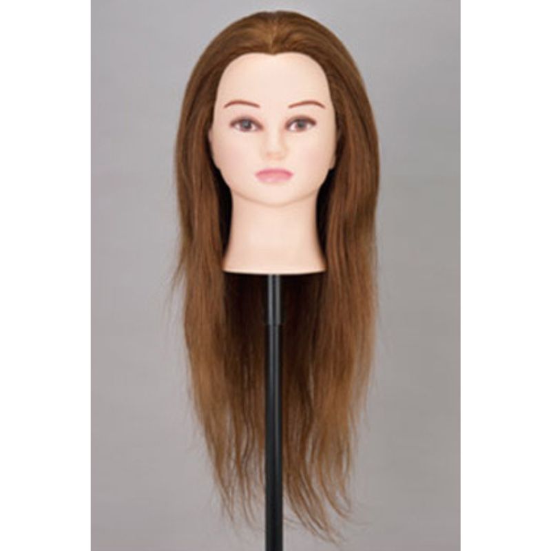 美容師 アップウィッグ 人毛100％ ライトブラウンヘアー ヘアアレンジ