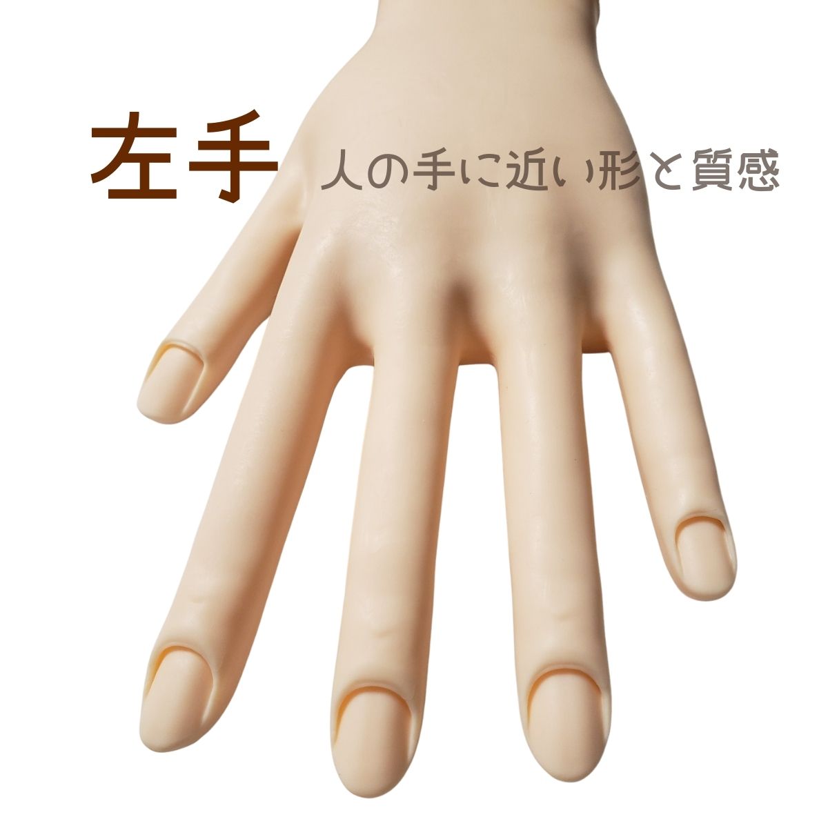 滝川（TAKIGAWA） JNEC認定ハンド STモデルハンド 左手 ネイルチップ