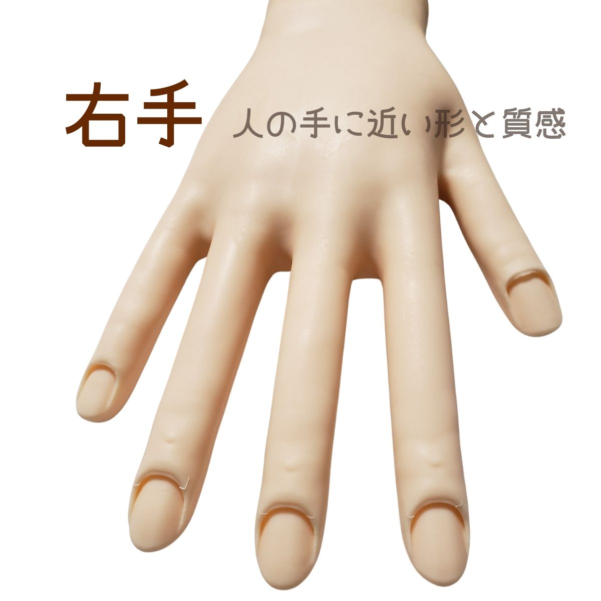 滝川（TAKIGAWA） JNEC認定ハンド STモデルハンド 右手 ネイルチップ