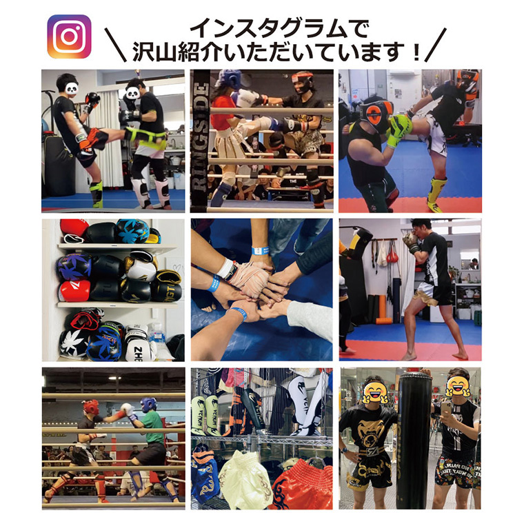 ボクシンググローブ EVERLASTオンスグローブ 6オンス 8オンス 10オンス