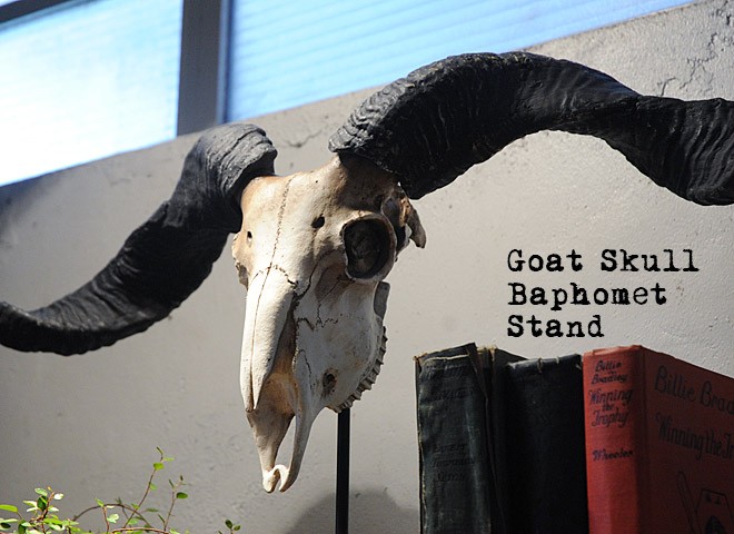 オブジェ スカル おしゃれ インテリア ヤギ 山羊 レトロ アンティーク