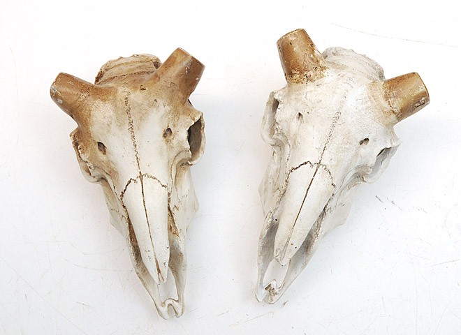 壁飾り 壁掛け オブジェ インテリア スカル ヤギ 山羊 レトロ