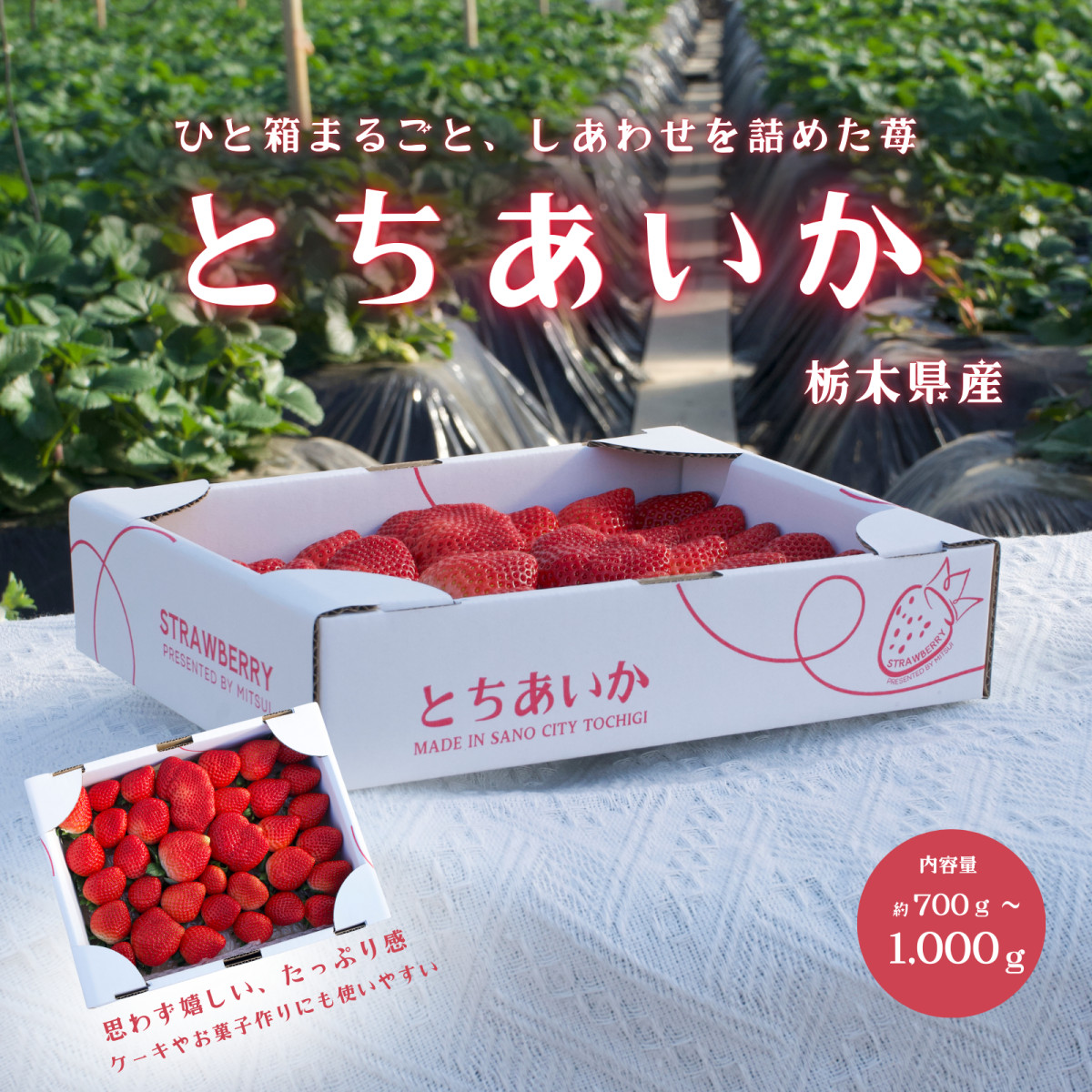 栃木県産 とちあいか たっぷり約900g 苺 いちご イチゴ 家庭用 お洒落
