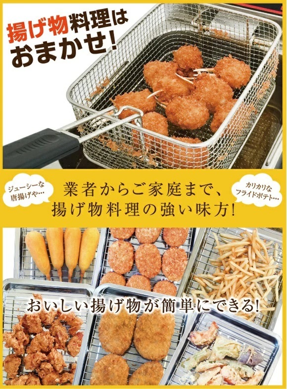 電気フライヤー FL-DS6 ミニフライヤー 6L 卓上フライヤー 電気 卓上