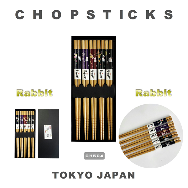 箸 日本五膳セット JAPAN CHOPSTICKS 日本のお土産 5膳セット 竹箸