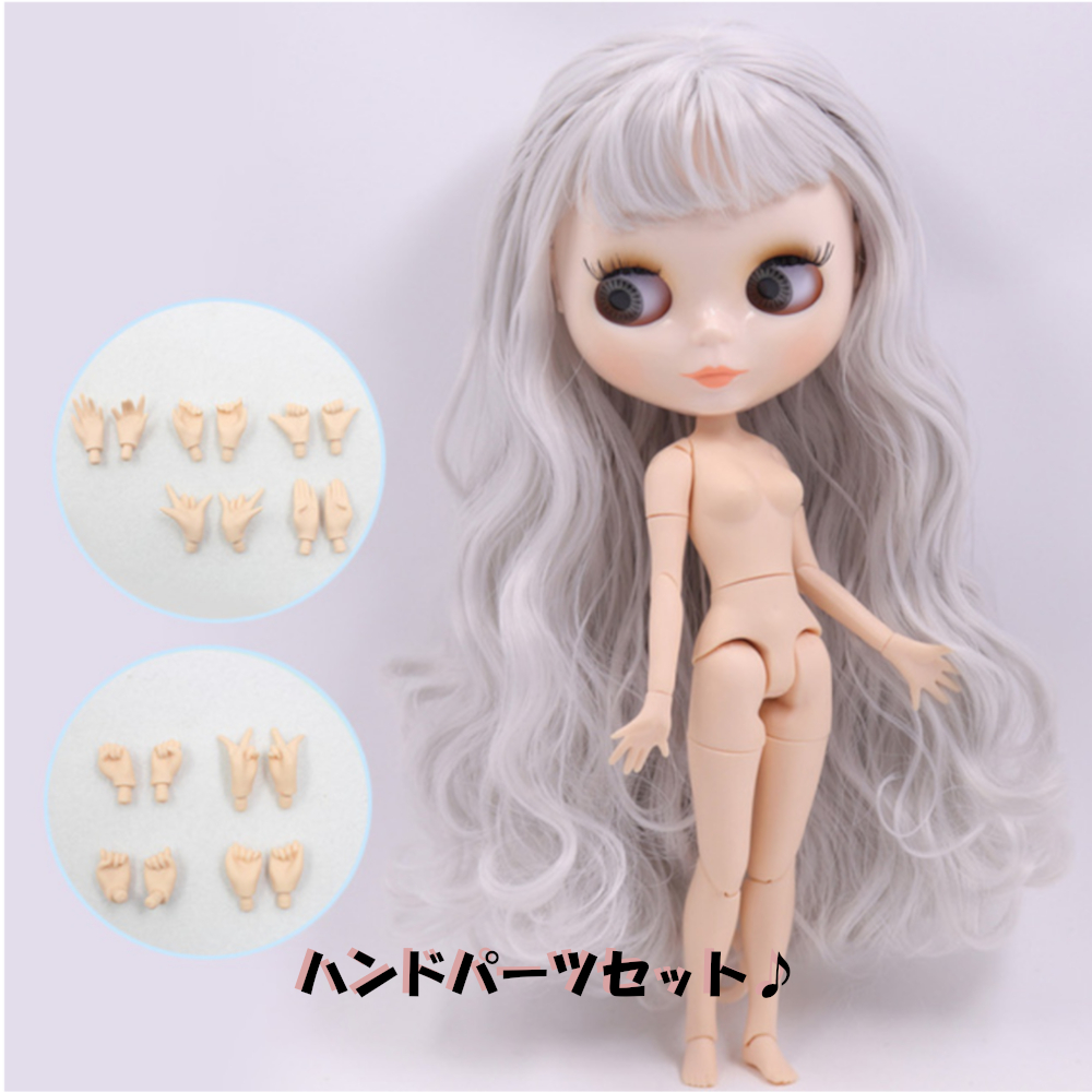 アイシードール 着せ替え人形 カスタムドール 可動ボディ 1/6ドール