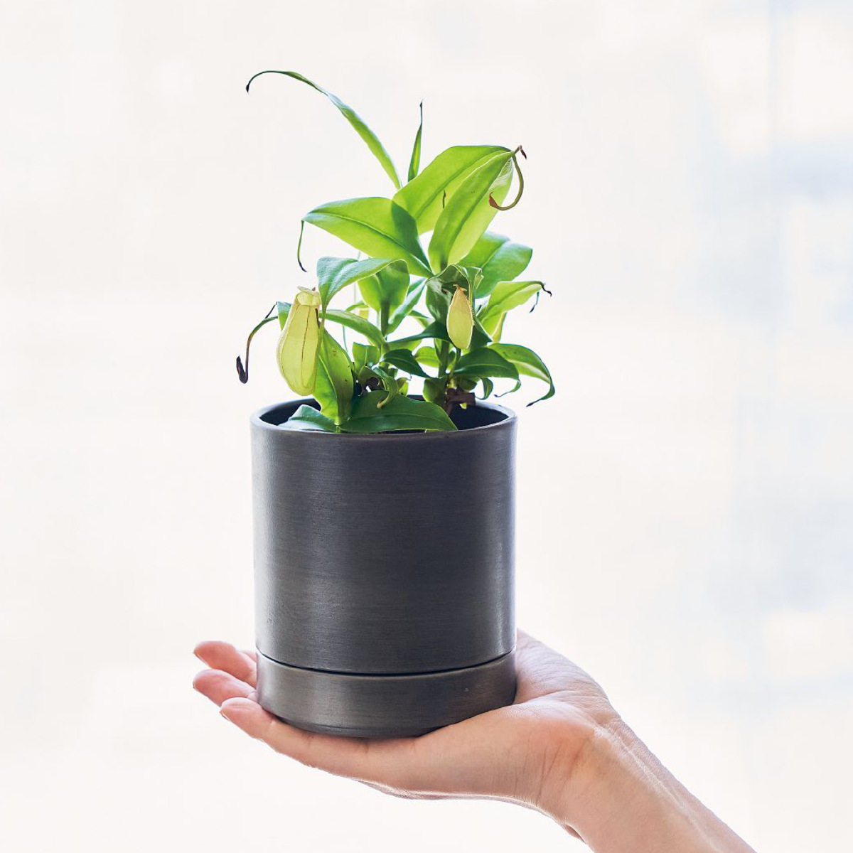 植木鉢 MC円柱メタルECOポット 受け皿付き 直径10cm （ プランター