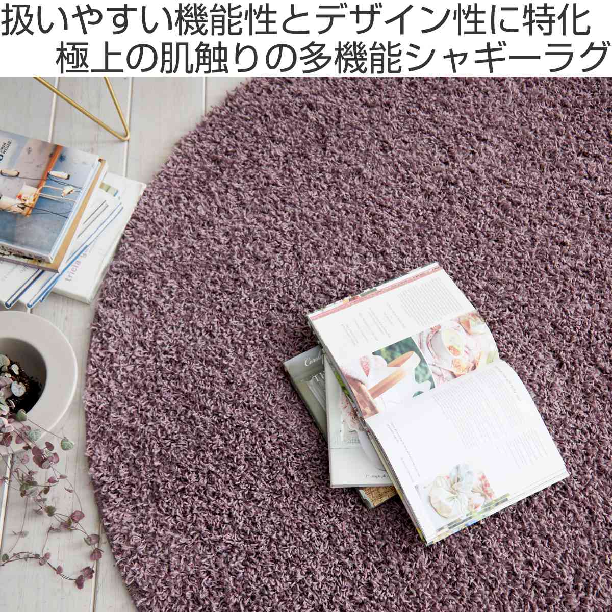 スミノエ ラグ ルーパス 150×150cm 円形 防ダニ アレルブロック