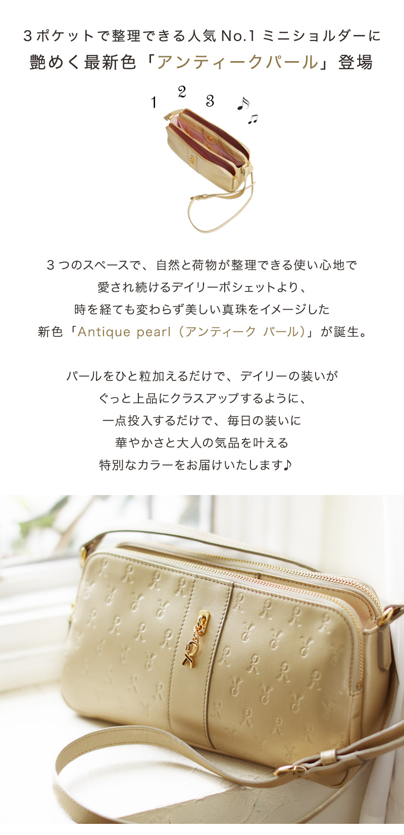 ROBERTA DI CAMERINO（ロベルタ・ディ・カメリーノ） 【ロベルタ】人気