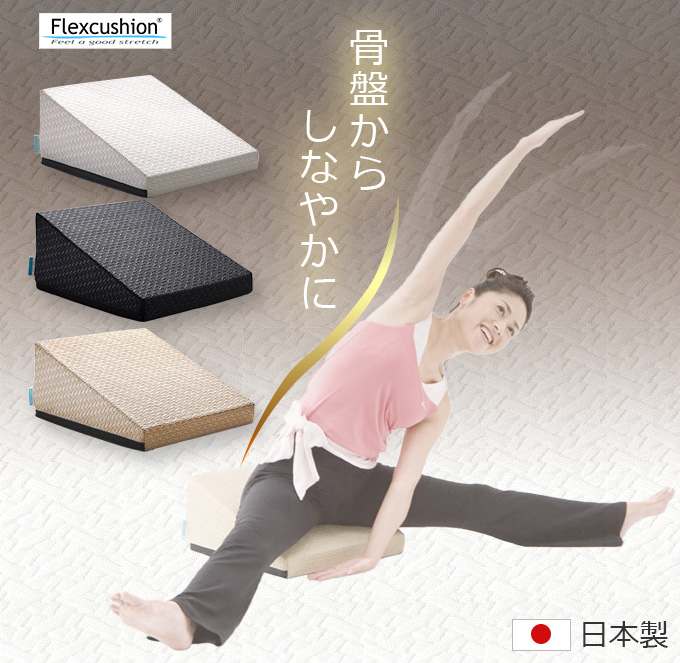 サンテプラス フレックスクッション（本体のみ） : ルネサンスYahoo!店