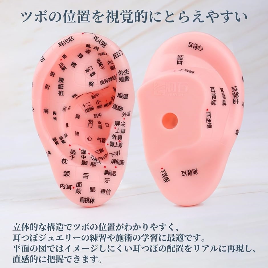 耳つぼ 模型 耳つぼシール 耳つぼジュエリー 練習 グッズ 耳ツボ 学校