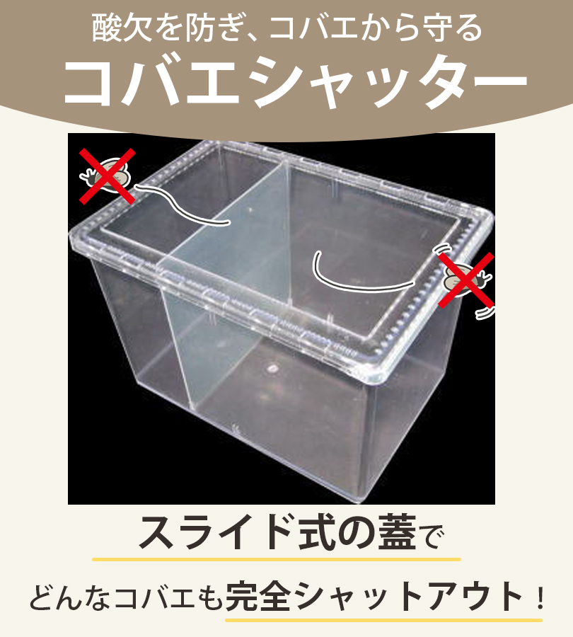 飼育ケース コバエシャッター ラージ クリア 透明 シーラケース 昆虫