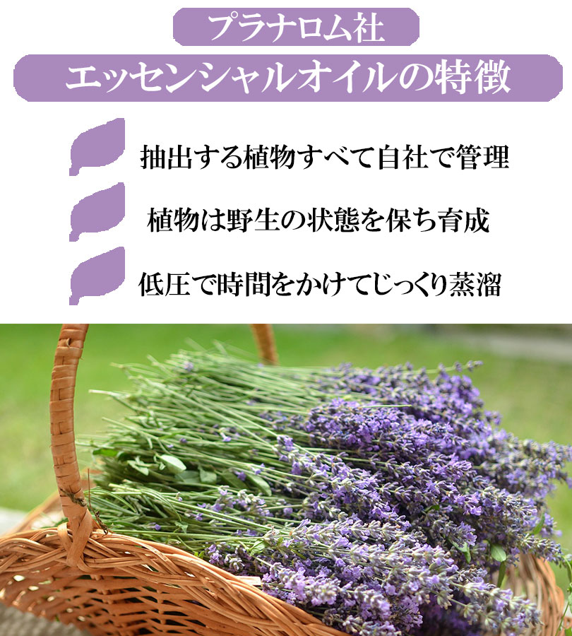 エッセンシャルオイル ラベンダー スーパー 10ml プラナロム社 精油