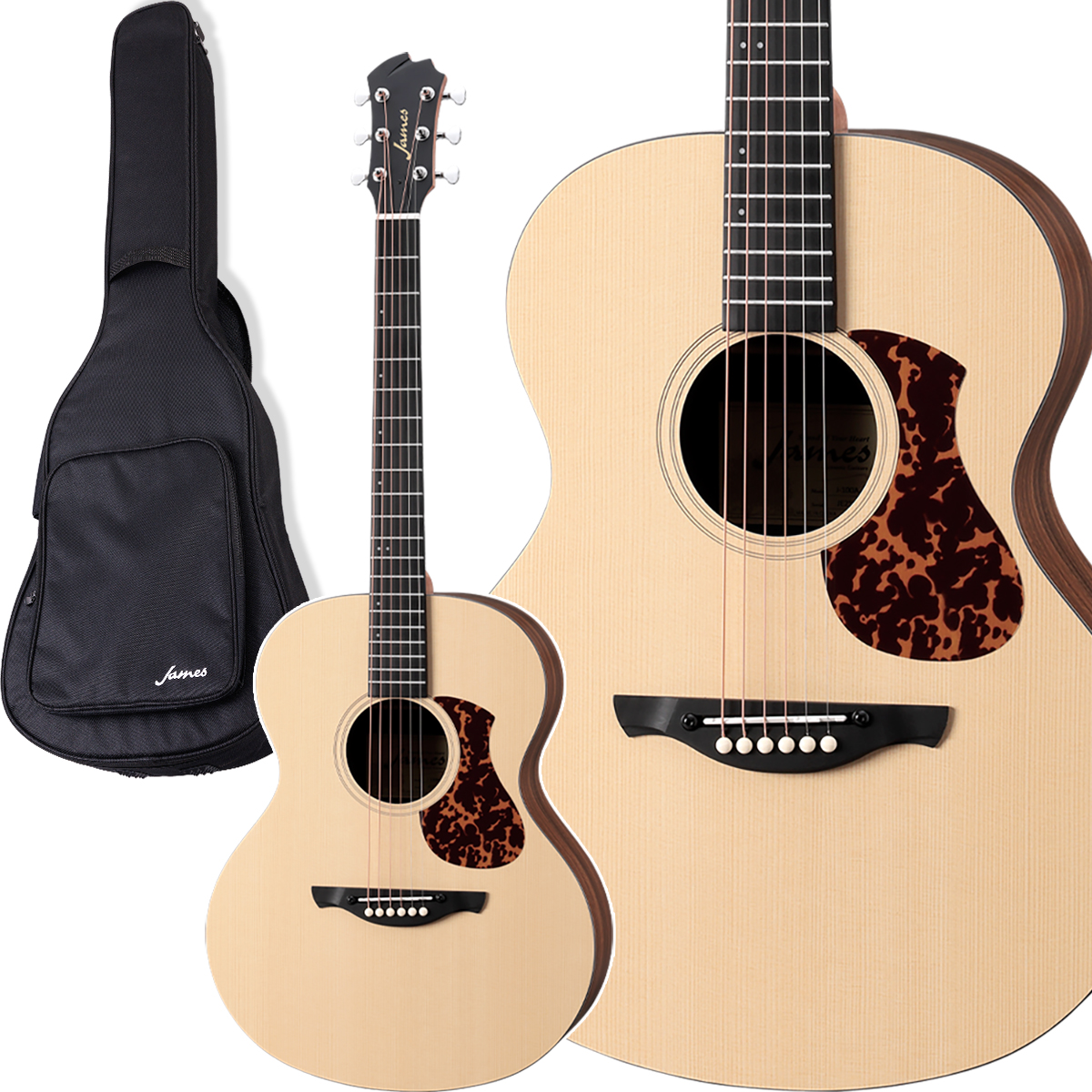 ジェームス（James） J-100A アコースティックギター ギグケース付属