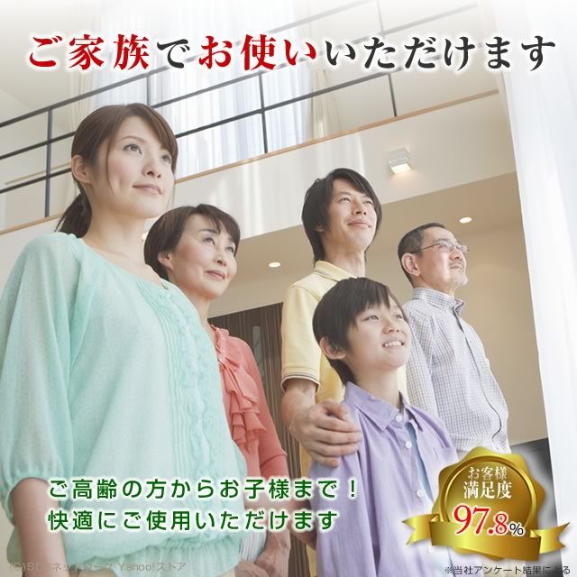 ひまわり (SUN2/SUN2デュオ) 用 オレンジ導子（L) 中古 伊藤超短波株式