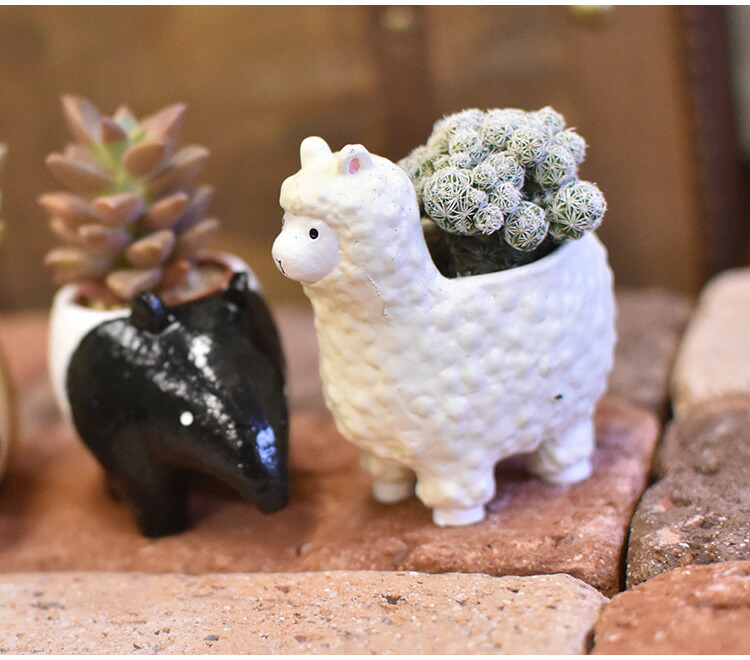 1寸用 プランター リトルレジンポット 珍獣シリーズ : SORACIEL - 通販