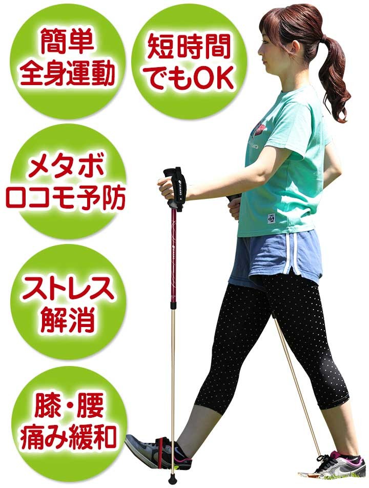 SINANO シナノ レビータ ネクスト 2本組 ノルディック ウォーク