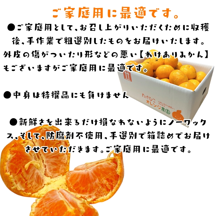 ご家庭用 粗選別 外成 完熟 有田 みかん 5kg_ わけあり 訳あり
