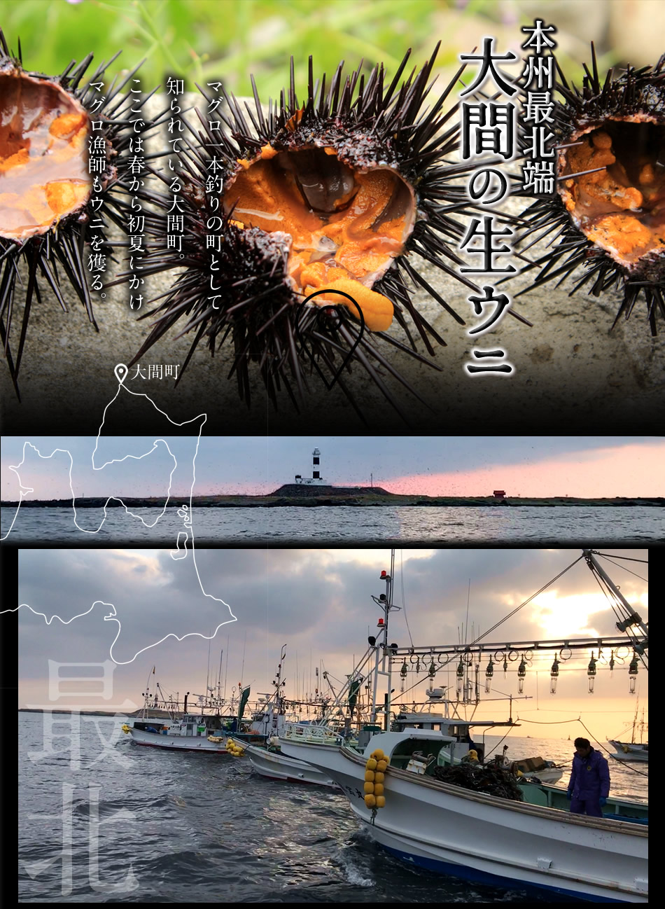 うに最終 国産極上 大容量 生うに360g(180g×2本)［天然新物］漁師の生