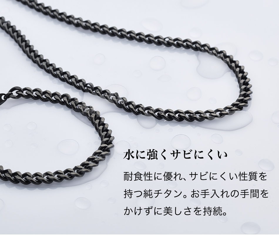 Phiten（ファイテン） 炭化チタンチェーンネックレス 45cm【公式