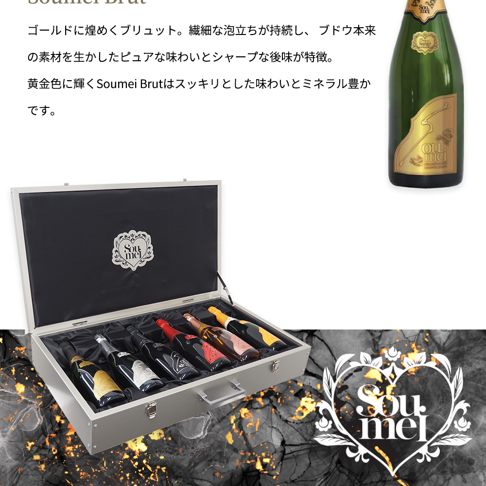 送料無料 正規品】【豪華アタッシュケース】ソウメイ ル セクス