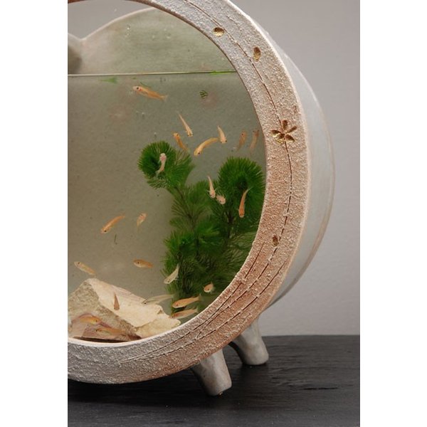 めだか鉢 陶器の水槽 陶器水槽 信楽焼の白金彩丸水槽（大） : 手づくり